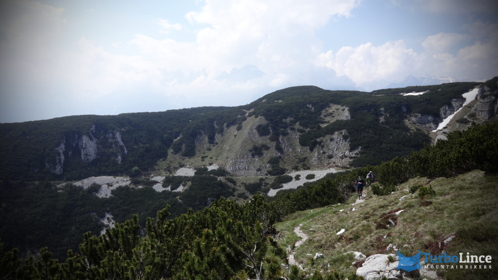 comano mtb 49