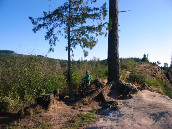 monutain bike Bellingham gps monutain bike Bellingham gps