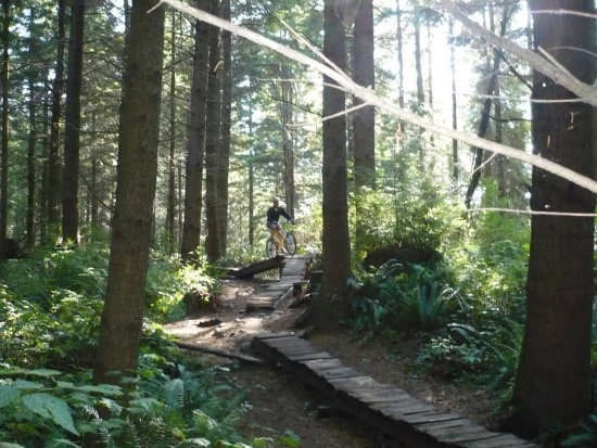 monutain bike Bellingham gps monutain bike Bellingham gps