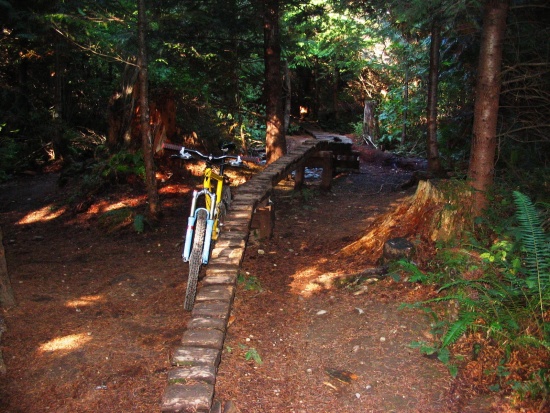 monutain bike Bellingham gps monutain bike Bellingham gps