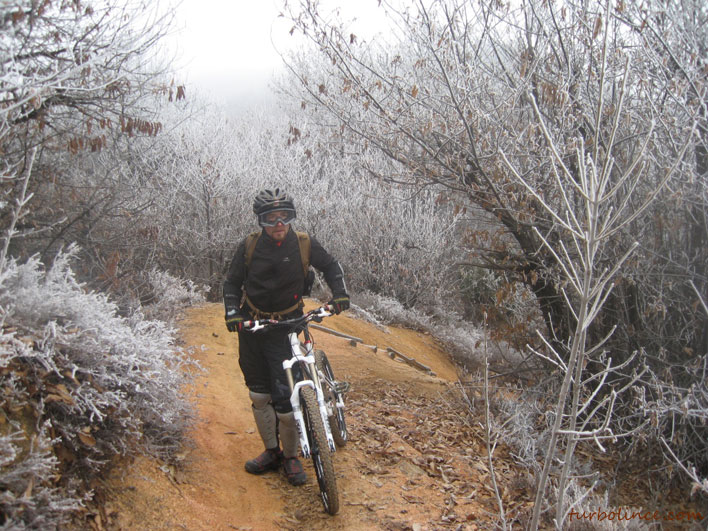freeride mtb