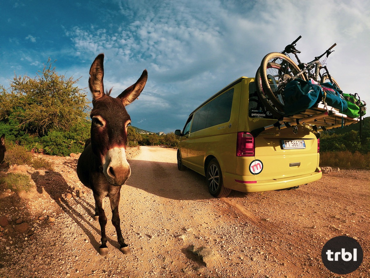 VW California Beach - Pareri, esperienze, consigli.